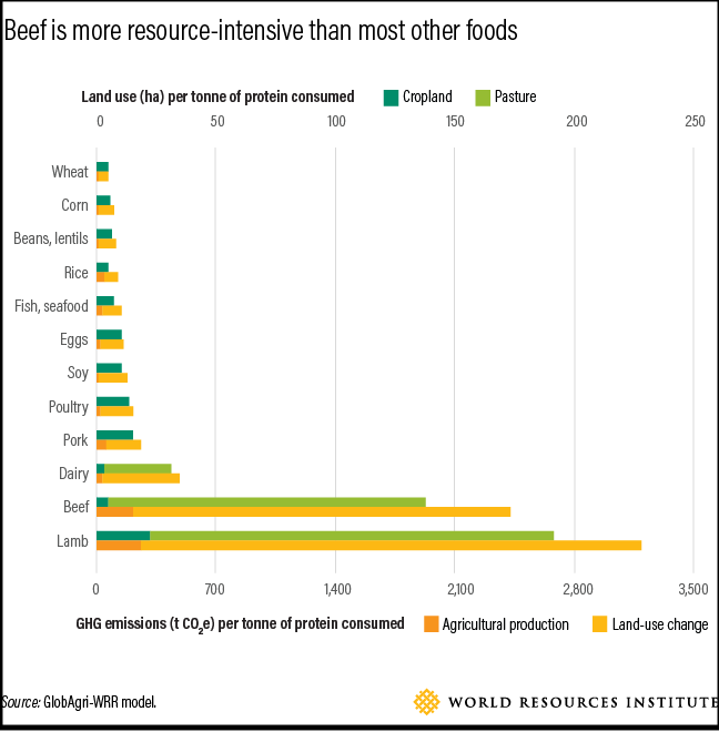 Environmental impact of most foods per unit of protein consumed